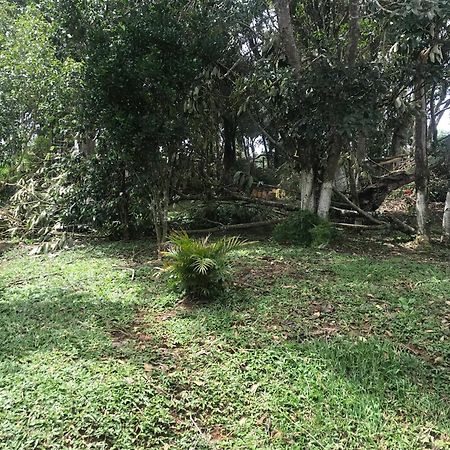 فيلا Recanto Figueiredo Ibiúna المظهر الخارجي الصورة